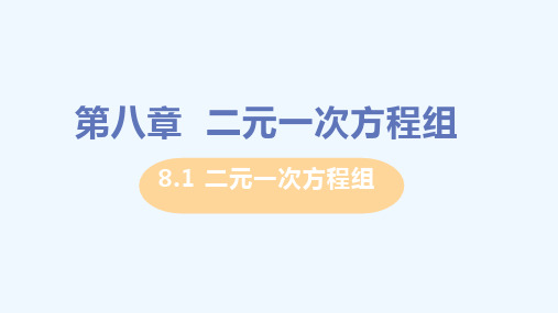 舞钢市第三中学七年级数学下册第八章二元一次方程组8.1二元一次方程组教学课件新版新人教版6