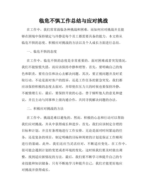 临危不惧工作总结与应对挑战