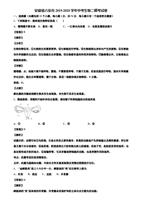 安徽省六安市2019-2020学年中考生物二模考试卷含解析