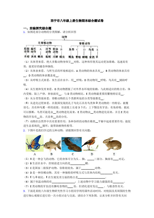 西宁市八年级上册生物期末综合题试卷