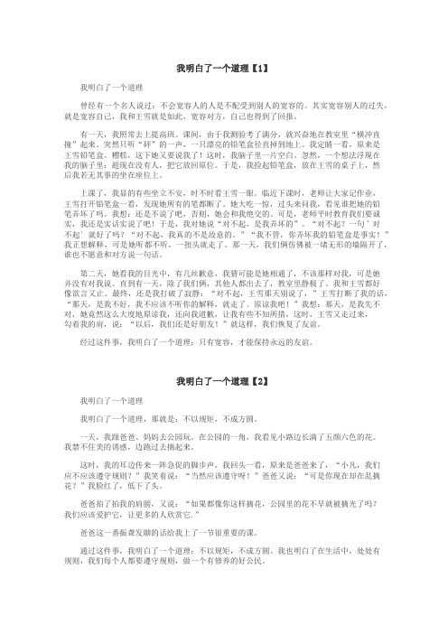 我明白了一个道理作文
