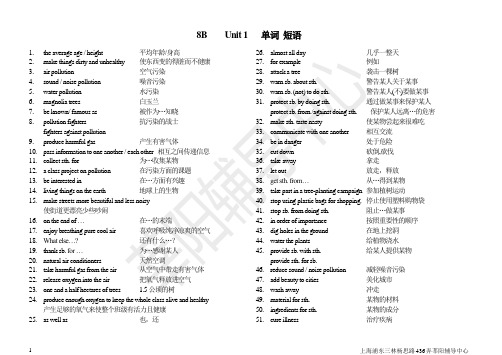 上海版牛津英语8B_Unit1_词组