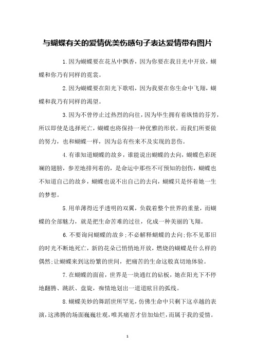 与蝴蝶有关的爱情优美伤感句子表达爱情带有图片