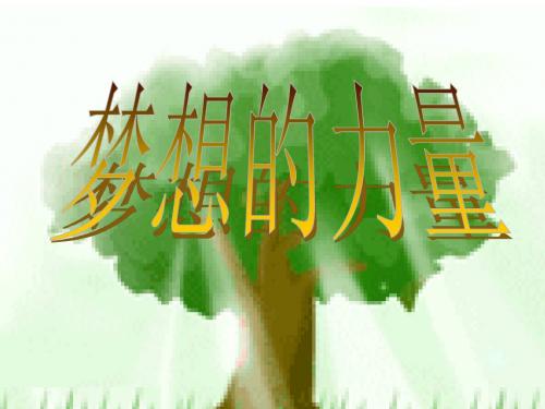 课标版五年级下册《梦想的力量》课件