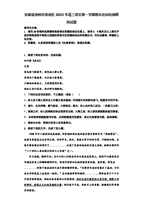 安徽省池州市贵池区2024年高三语文第一学期期末达标检测模拟试题含解析