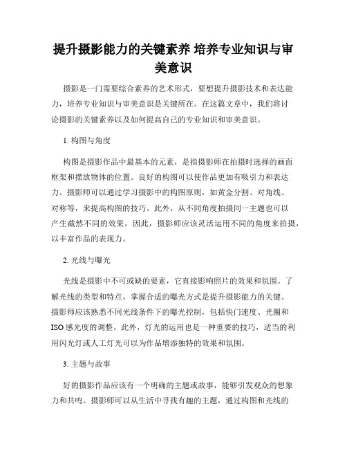 提升摄影能力的关键素养 培养专业知识与审美意识