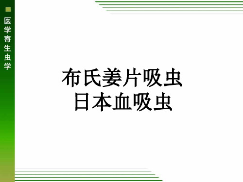 5. 布氏姜片吸虫、日本血吸虫