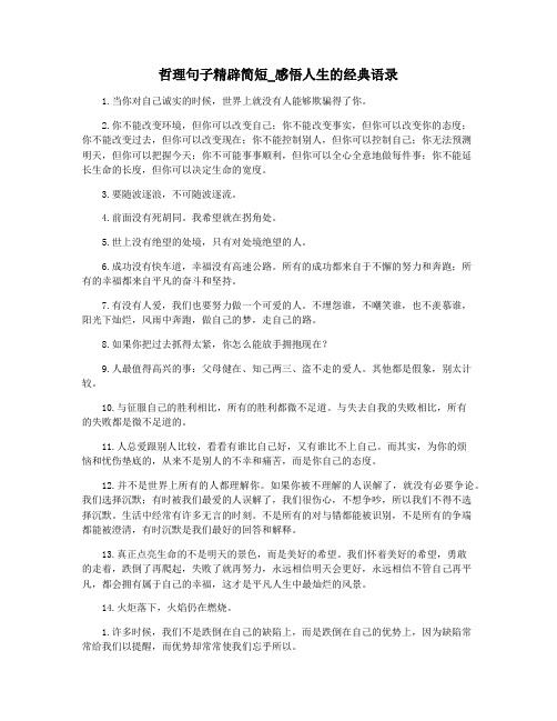 哲理句子精辟简短_感悟人生的经典语录