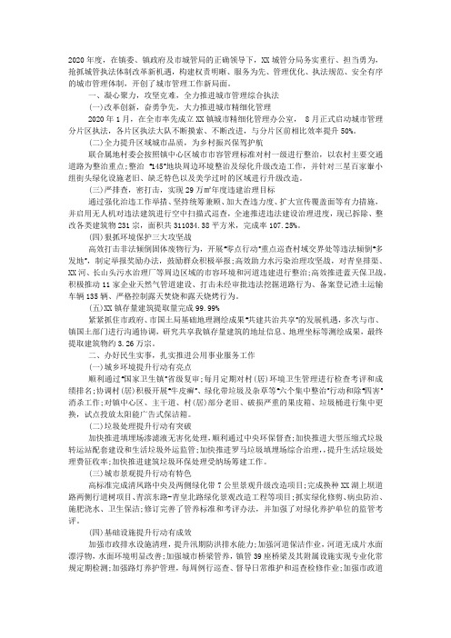 城管分局2020年度工作总结及2020年工作计划.docx