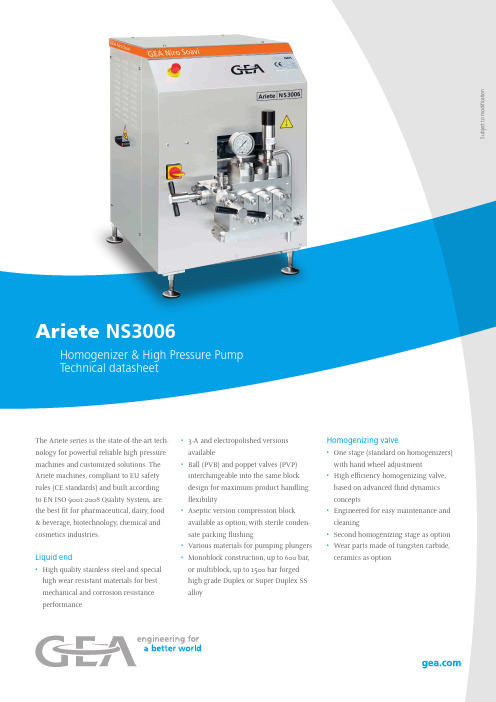 Ariete NS3006 高压泵说明书