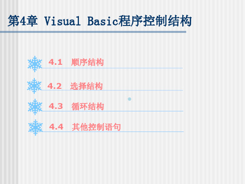 第4章VisualBasic程序控制结构