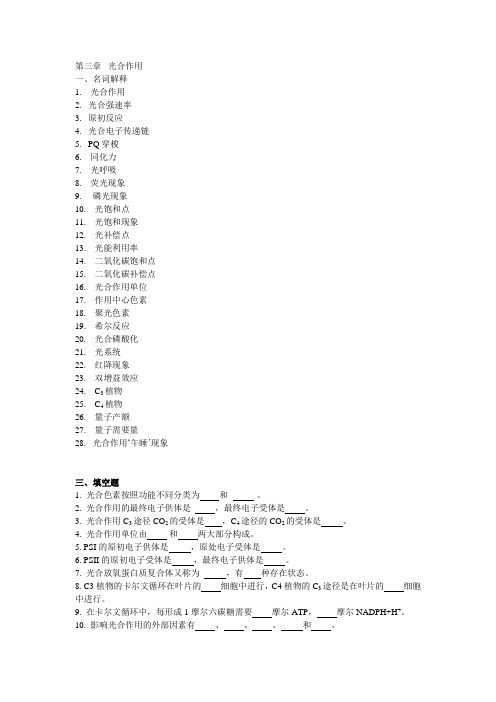 第三章--光合作用习题及答案