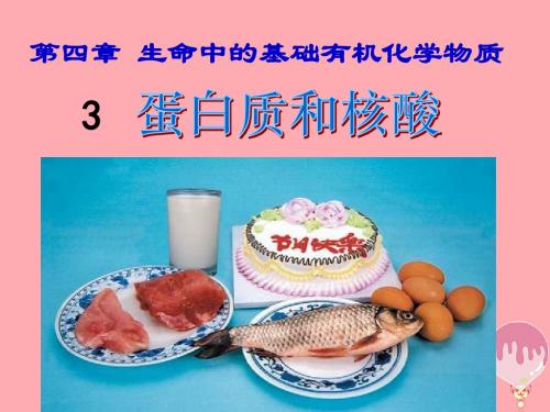 高中化学第四章生命中的基础有机化学物质4.3蛋白质核酸课件新人教版选修5