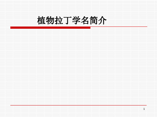 植物拉丁学名简介ppt课件