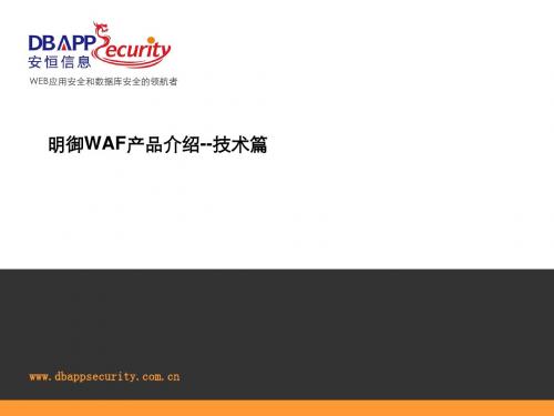 明御WAF产品介绍--技术篇.ppt