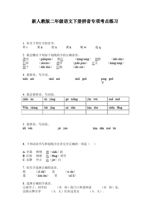 新人教版二年级语文下册拼音专项考点练习