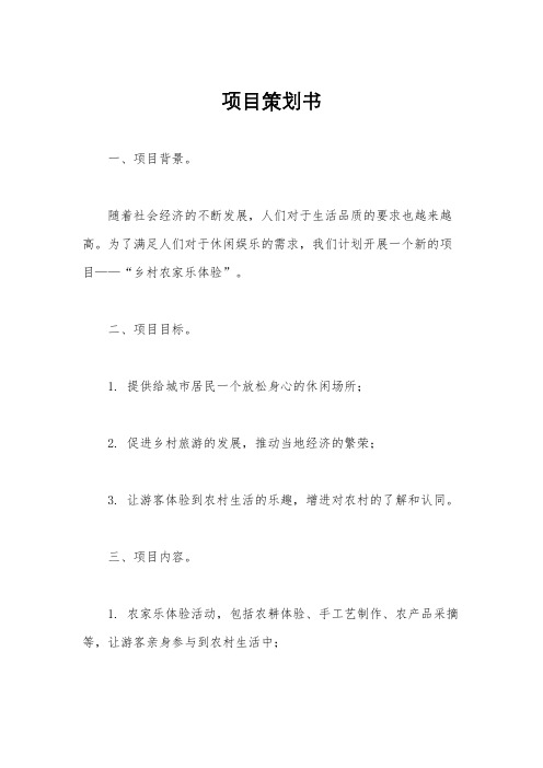 项目策划书