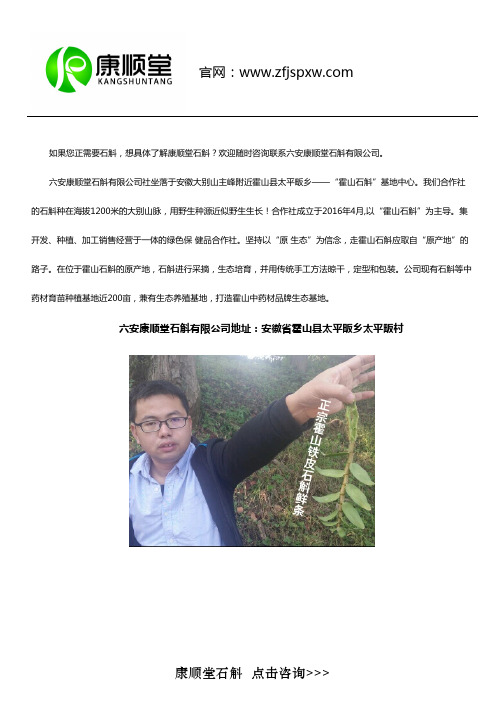 注意了!铁皮石斛分软脚跟硬脚的,到底哪种好？新