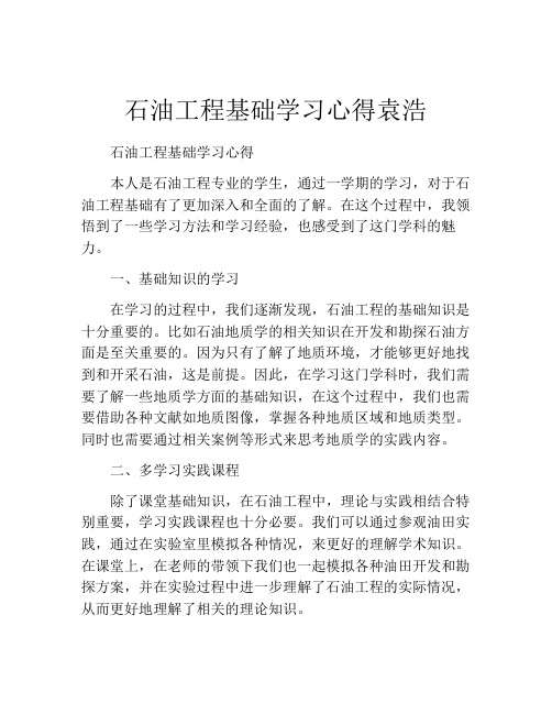 石油工程基础学习心得袁浩