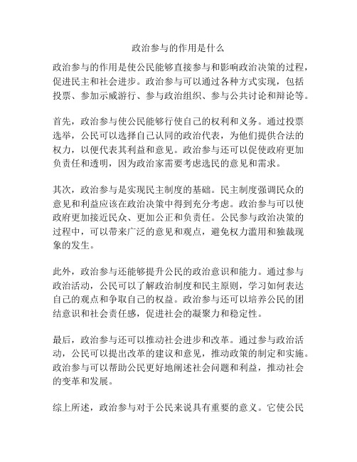 政治参与的作用是什么