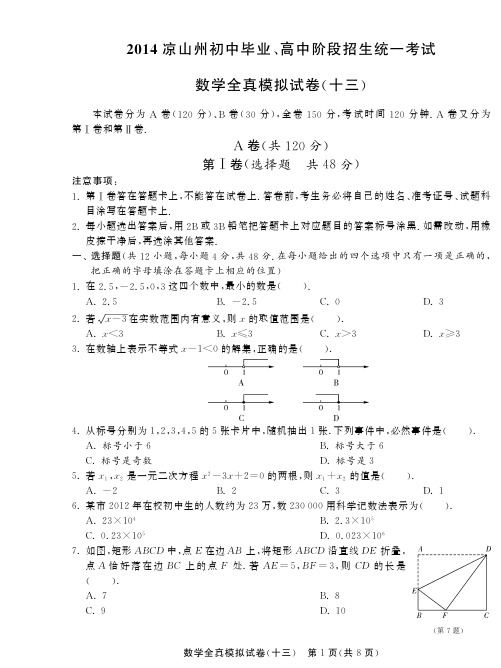 2014届四川凉山州中考数学全真模拟试卷(十三)