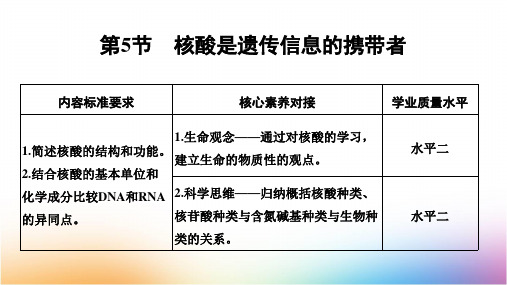 人教版高中生物必修12