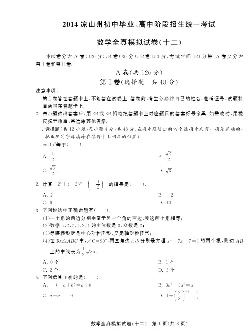 2014届四川凉山州中考数学全真模拟试卷(十二)