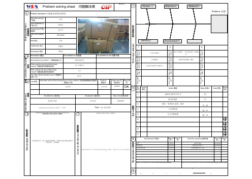 博世Problem Solving templet(问题解决8D报告)