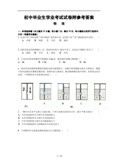 人教版九年级物理中考复习专题资源 (10)  - 副本