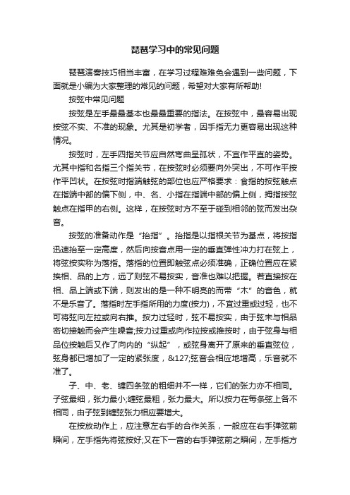 琵琶学习中的常见问题