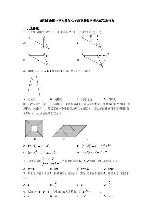 深圳市东湖中学人教版七年级下册数学期末试卷及答案