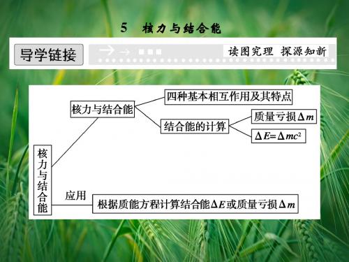 19.5 核力与结合能课件2 新人教版选修3-5课件