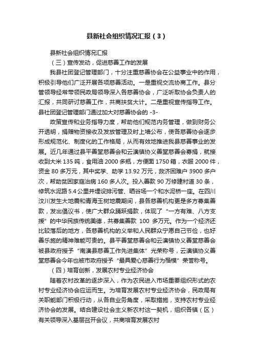 县新社会组织情况汇报（3）