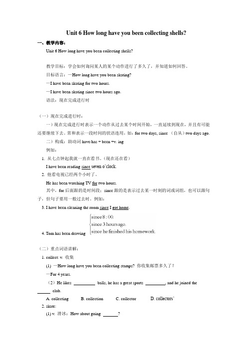 how long have you been collecting shells教案