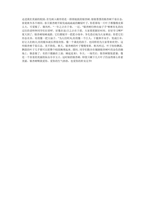 故乡的银杏树作文400字