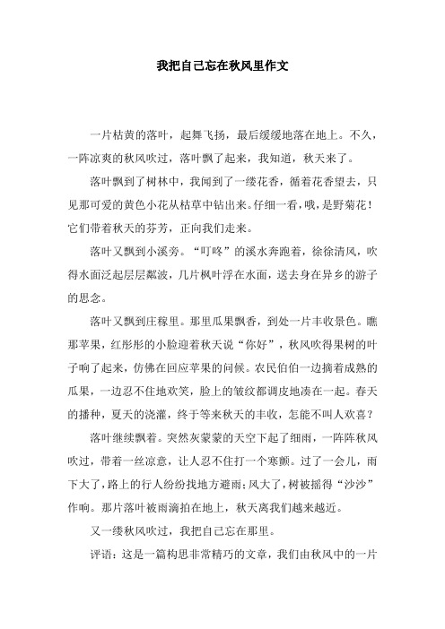 我把自己忘在秋风里作文