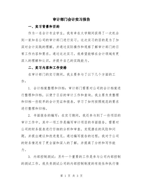 审计部门会计实习报告