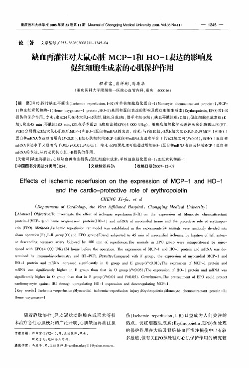 缺血再灌注对大鼠心脏MCP-1和HO-1表达的影响及促红细胞生成素的心肌保护作用