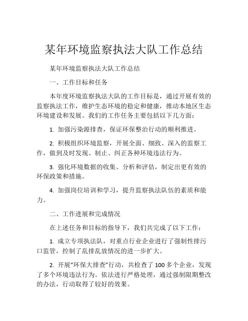 某年环境监察执法大队工作总结