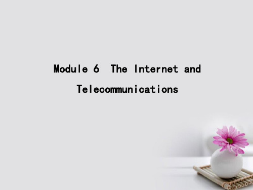 2018高考英语大一轮复习Module6TheInternetandTelecommunications课件