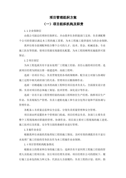 项目管理组织方案