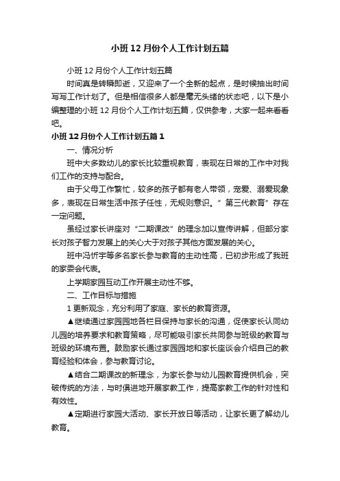 小班12月份个人工作计划五篇