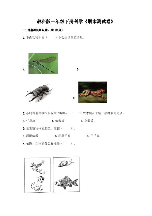 教科版一年级下册科学《期末测试卷》及参考答案【完整版】