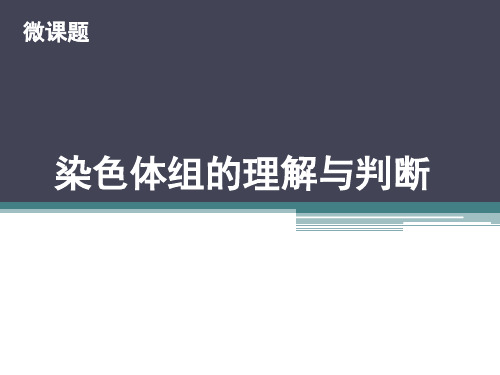 染色体组的理解与判断