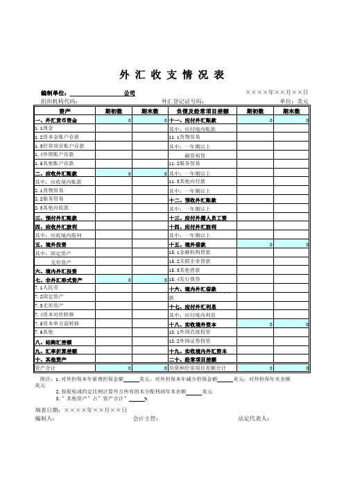 外汇收支情况表Excel 