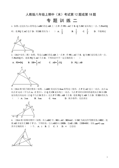 重庆市巴南区鱼洞南区学校2015-2016学年度八年级上期期末末考试第12题或第18题专题训练二(含答案)