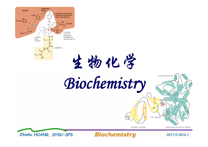 生物化学：第一章 绪论(1周1-3节) 