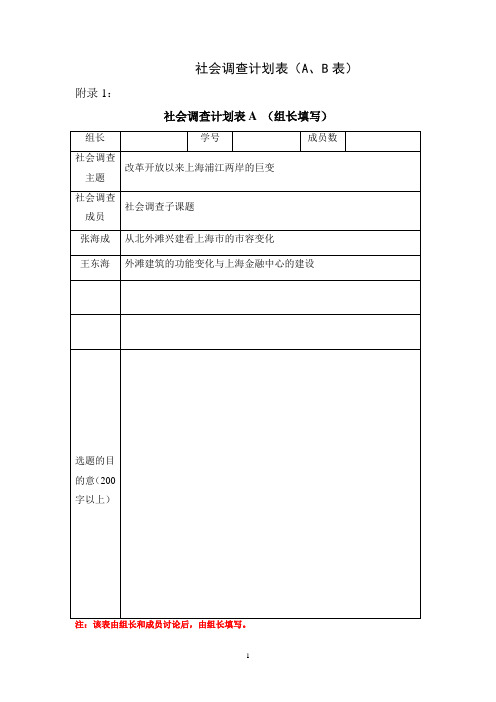 社会调查计划表