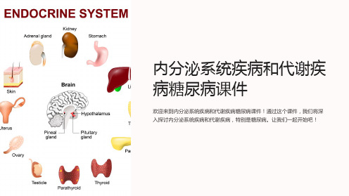 内分泌系统疾病和代谢疾病糖尿病课件