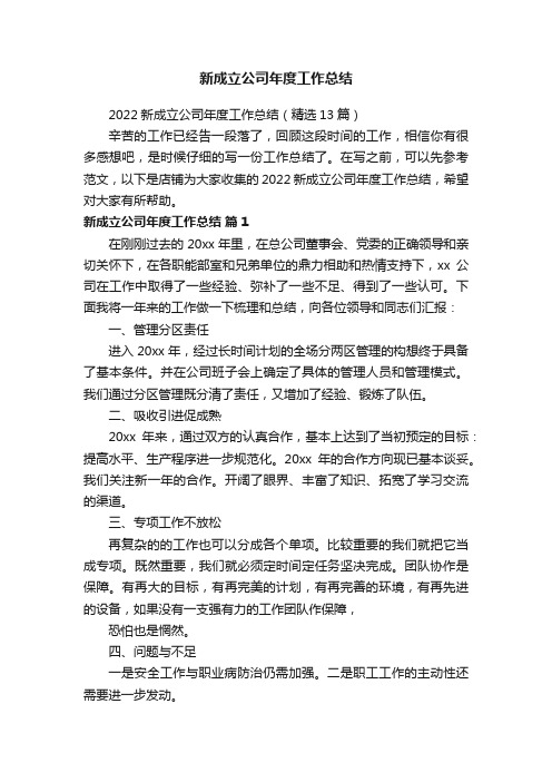 新成立公司年度工作总结